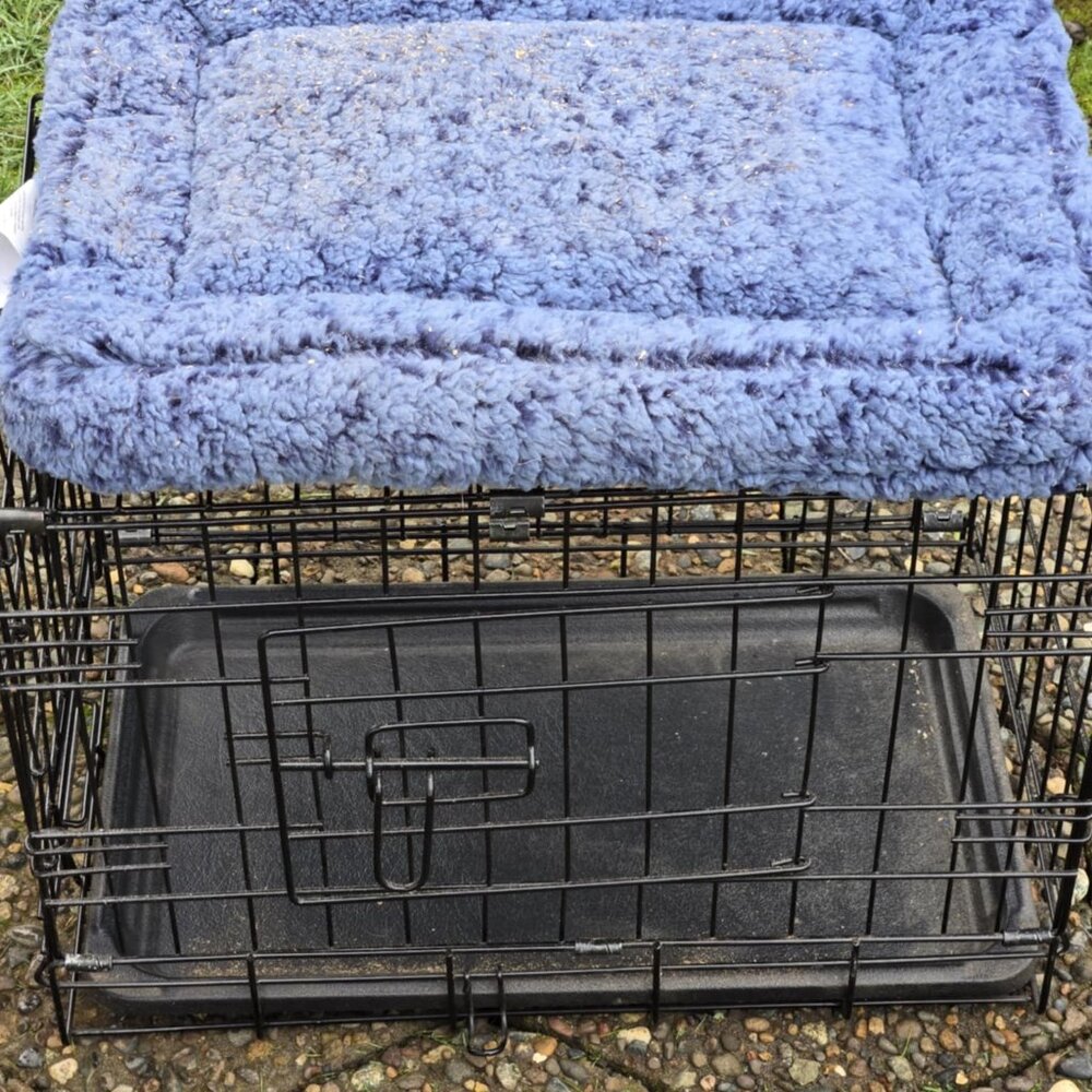 Small Pet Wire Kennel w/Pet Mat: 19"